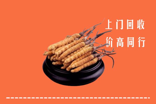 高价求购：潍坊临朐县回收散虫草