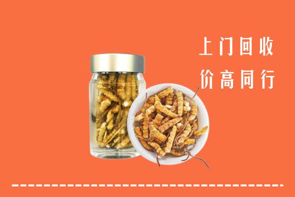 潍坊临朐县回收冬虫夏草