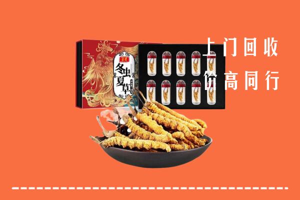 潍坊临朐县回收虫草